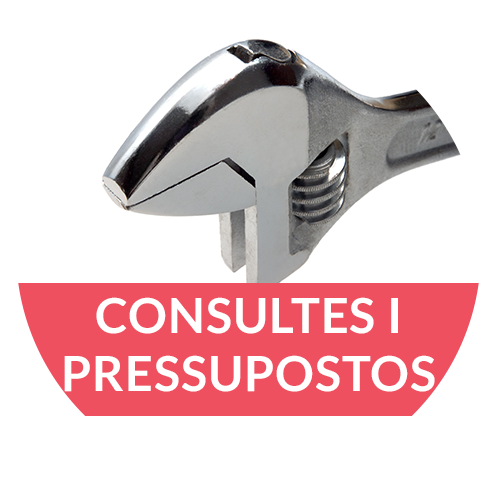 Consultes i pressupostos